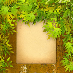 Naklejka na ściany i meble Old paper listing on rusty iron wall with bright green foliage