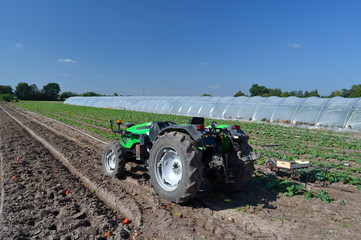 Obraz premium Tracteur dans un champ