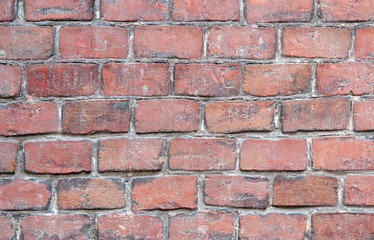 Obraz premium brick wall texture
