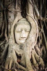 Buddha statue in the roots of tree at Ayutthaya, Thailand