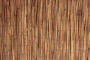 Bamboo background