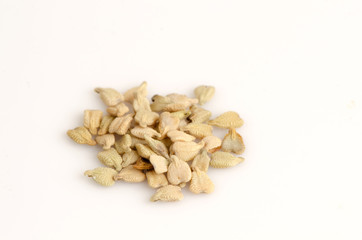 Seeds of Garcinia atroviridis