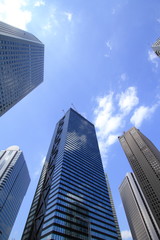 Obraz premium 新宿のビル群