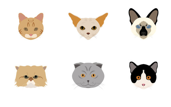 Set of Head Cats Vectors and Icons