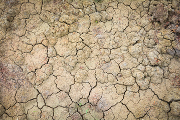 Dry soil texture of a barren land