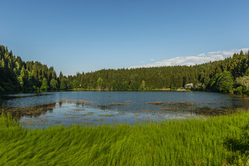 Fototapeta na wymiar Karagol (Black Lake), Artvin