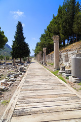 Fototapeta na wymiar Ephesus or Efes Ancient Greco-Roman City, Turkey