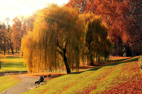 herbst