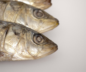 Fresh sardines with parsley leaves