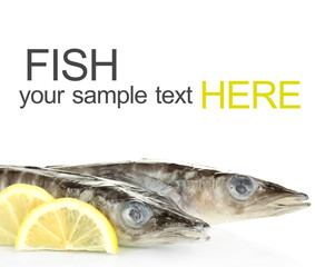 Fishes with lemon isolated on white