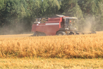 Combine machine harvester in field