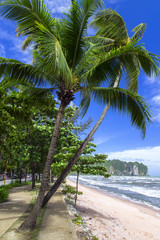 Beach Path.