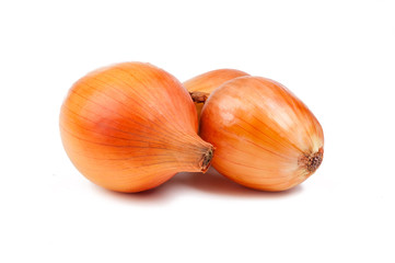 onion isolated