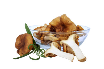 chanterelles with green rosemary in glass bowl