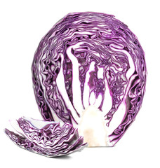 Obraz premium blue cabbage isolated
