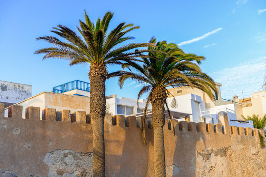 Two tall palm trees in front of a stone gate