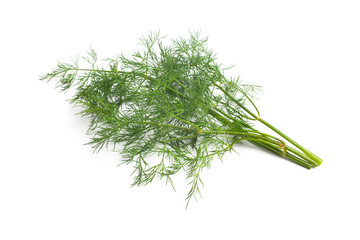 Fresh dill