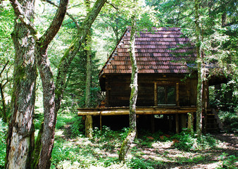 Bosnian Forest Hut