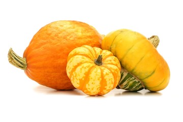 Group of autumn squash over a white background
