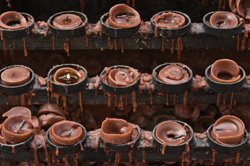 Red Candle Offerings