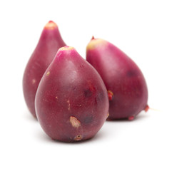 prickly pear fruit isolated on white