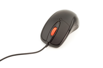 computer mouse on white background