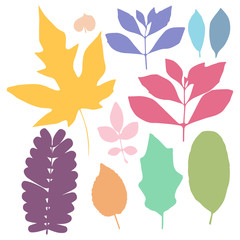 Colorful leaf set
