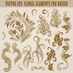 Vector set of floral elements