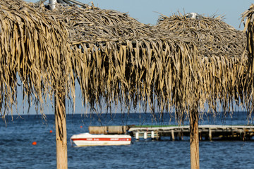 parasols on the beach