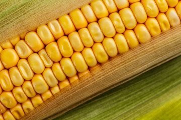 Corn cob