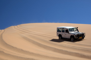 Fototapeta na wymiar Touru sul deserto della Namibia