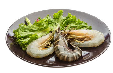 King and waterleg shrimps
