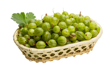 Gooseberry
