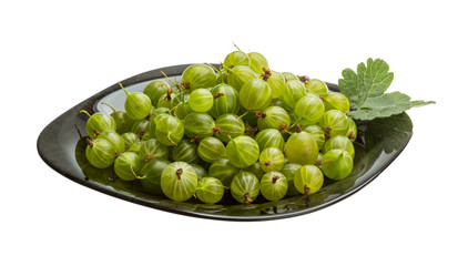 Gooseberry