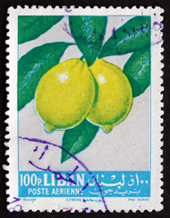 Postage stamp Lebanon 1962 Lemons, Fruit Tree
