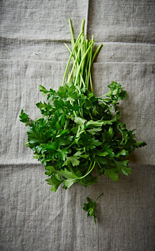 Bunch of Fresh Parsley on a Linen Cloth