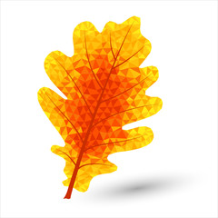 autumn oak leaf in triangular design colored in autumnal colors