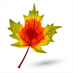 autumn maple leaf in triangular design in autumnal colors