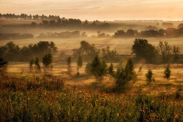 Landscape with fog at the morning.