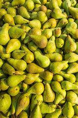 Just picked pears from close