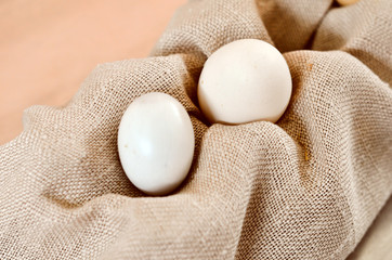 Eggs
