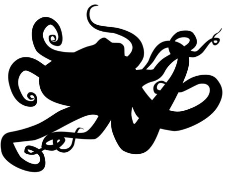 Oktopus