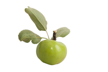 green apple with leaves isolated on white background