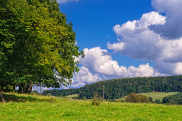 Green Country Landscape.