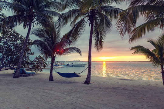 Hammock On Tropical Beach