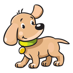 Funny puppy