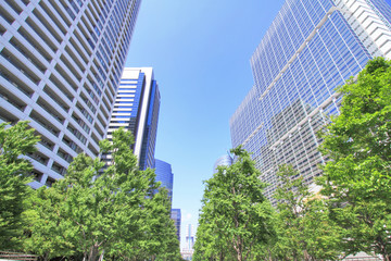 Obraz premium 品川のビル群