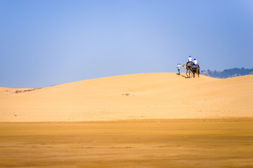 Fototapeta na wymiar two camels transporting the passengers upside the dune