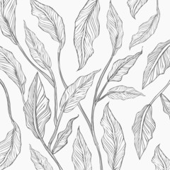 Background of gray line leaf sketch