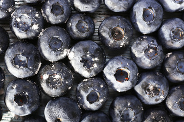 Blueberries on wooden background closeup